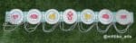 Pichwai Round Medallion Toran – Mint Floral Banner 50 inch - view 1