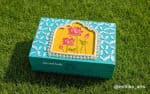 Pichwai Lotus Jewellery Box – Teal & Pink Lid 8×6×6 - view 1