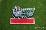 Navy Peacock Key Holder Panel – Long Feathered Tail - view 1